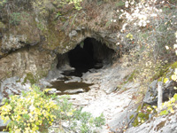 Coyote Creek flows through a cavern entrance at Natural Bridges.