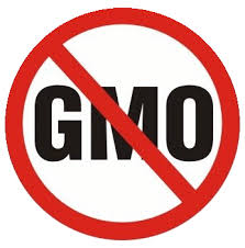 GMO.jpg
