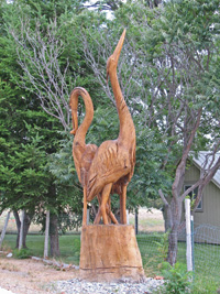 Chainsaw carver Jacob Lucas has sculpted tree stumps in Bridgeport, Washington.