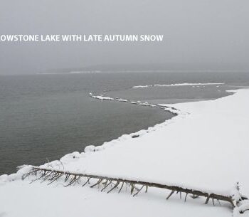 ARLNEYellowstone-Lake-in-late-fall-snow.jpg