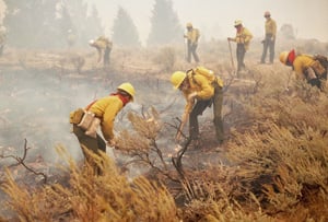 Firefighters on the Ground