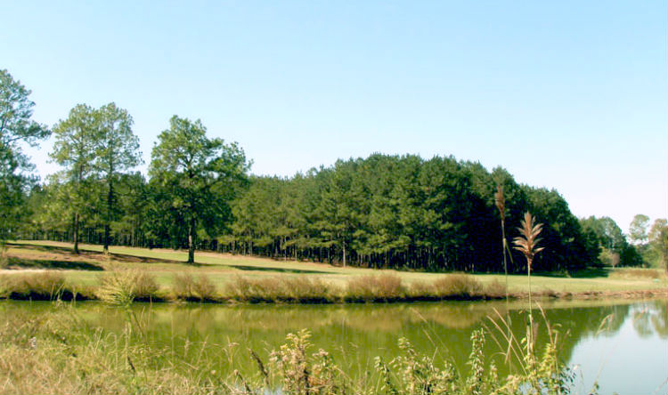 Wanee Lake Golf Course and RV Park