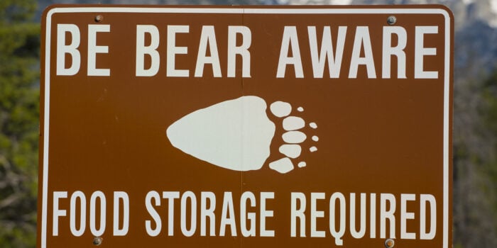 prevent campsite bears sign