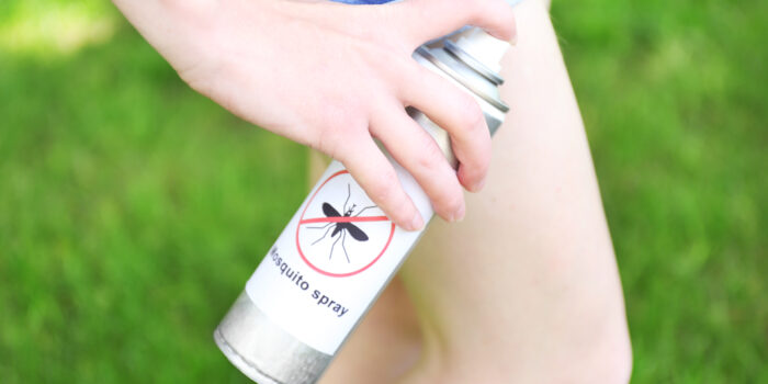 spray for camping bugs