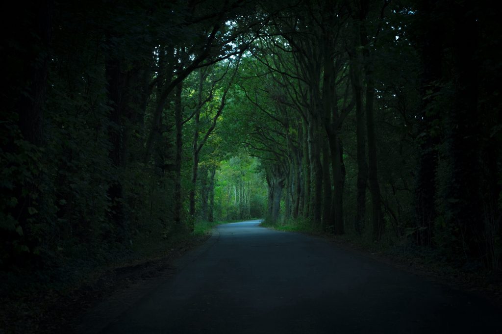 Spooky long wooded road with some light at the end