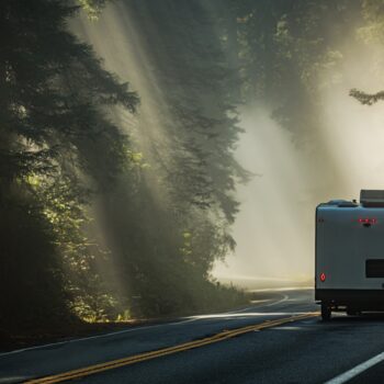 RV camping in the Redwoods