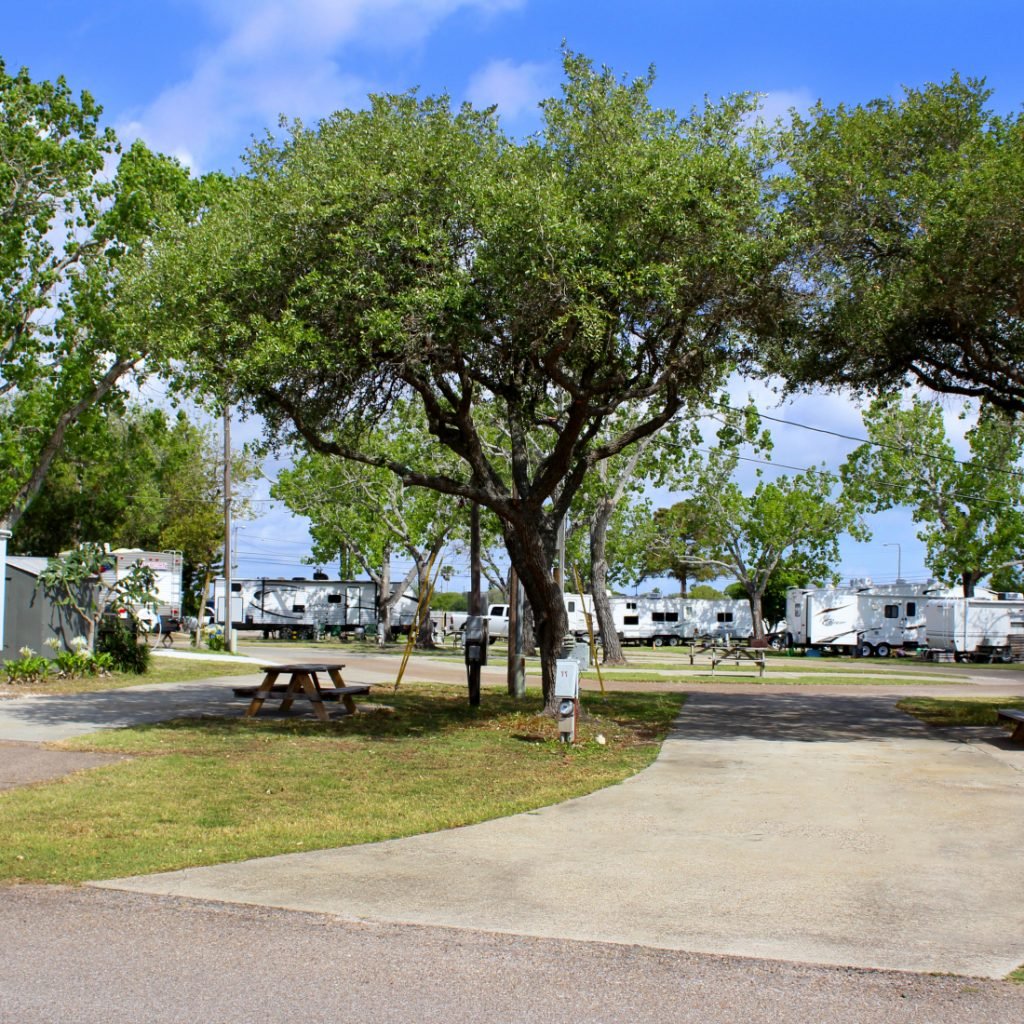 Shade trees line an RV site