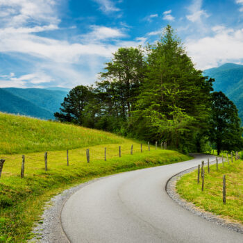 trail in great smoky mountain park - feature image for Smoky Mountain RV parks