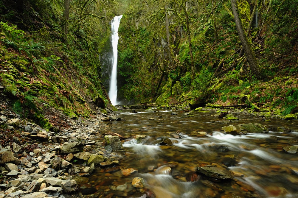 niagara creek and waterfall in goldstream provincial park, victoria, vancouver island, british columbia, canada