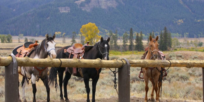 equestrian RV campgrounds