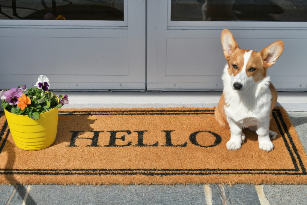 A small dog sitting on a welcome mat that says "hello" and a pot of flowers. 