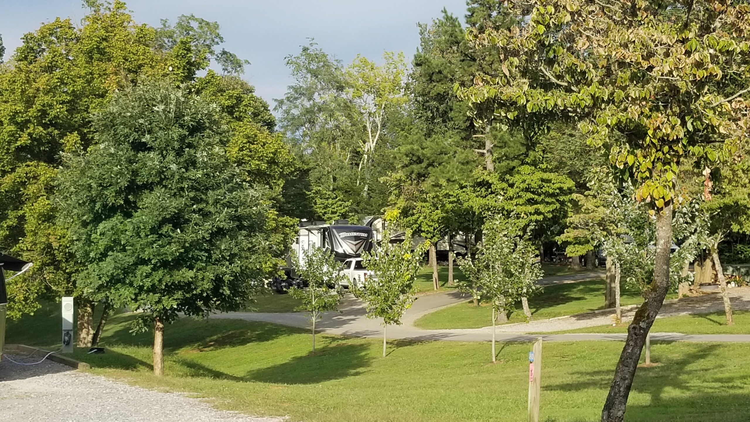 RV in campsite surrounded by trees