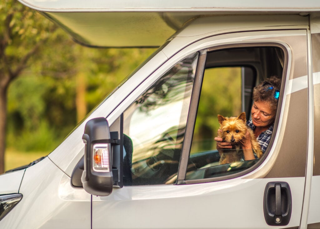 dog and owner in RV window, feature image for how to keep your dog cool while RVing