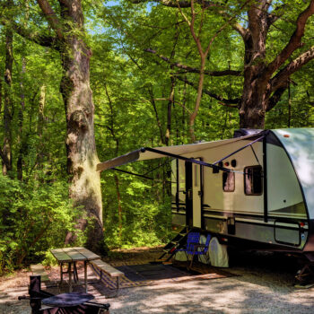 travel trailer in a wooded campsite
