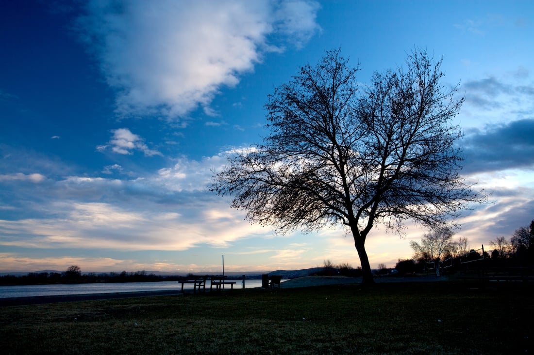 Sunset in Richland overlooking lake and tree with picnic table