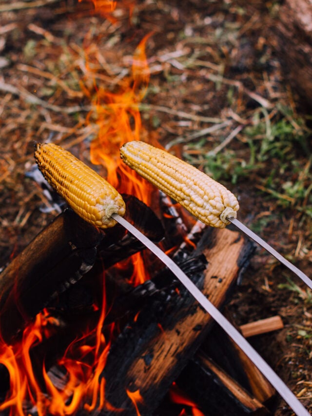 How To Make Corn On The Cob Over A Campfire