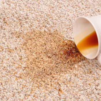 RV carpet stained from coffee spilling out of mug