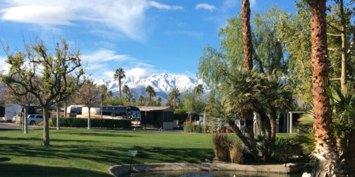 Desert Shadows RV Resort view