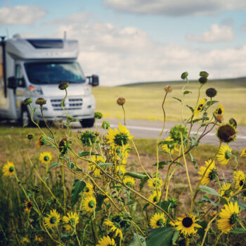 RV camping near blooming flowers