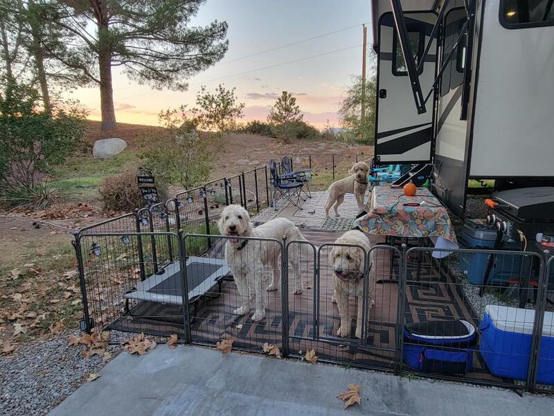 RVing with dogs in a FXW dog playpen