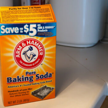 baking soda is what absorbs bad smells in an RV (baking soda on counter)