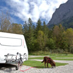 RV with dog on leash, image for RVing with pets