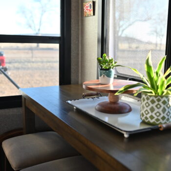 image for mental health, a table with a potted plant on top of it next to a window with a view of a field