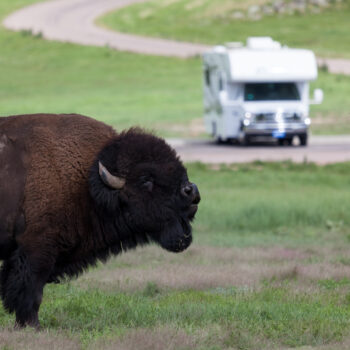 bison RV