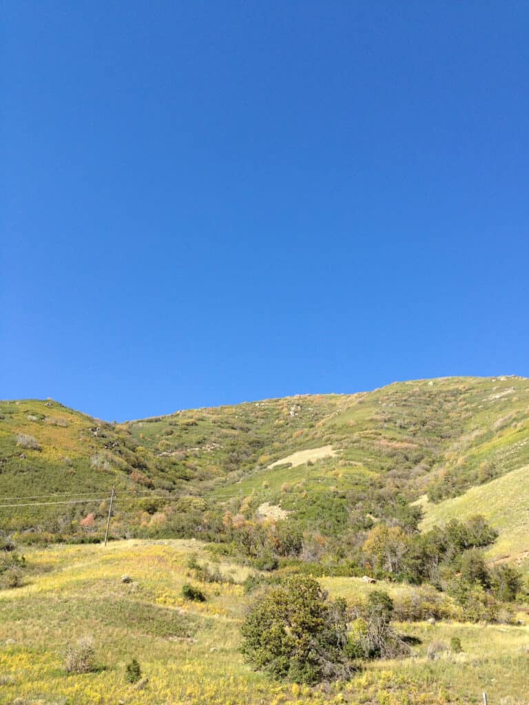 Green rolling hills of the Wasatch mountains in Idaho.
