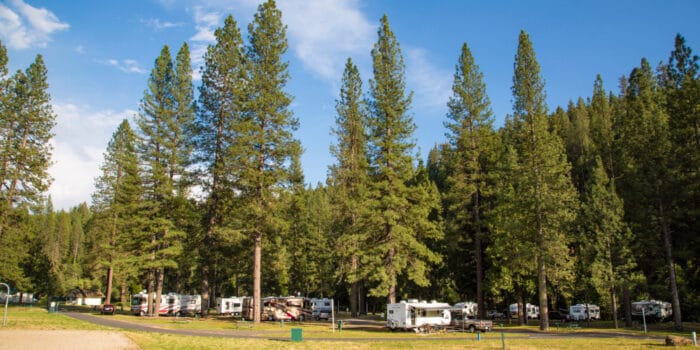 Several campsites at Thousand Trails Yosemite Lakes RV Resort. There are RVs and tow vehicles among green trees.