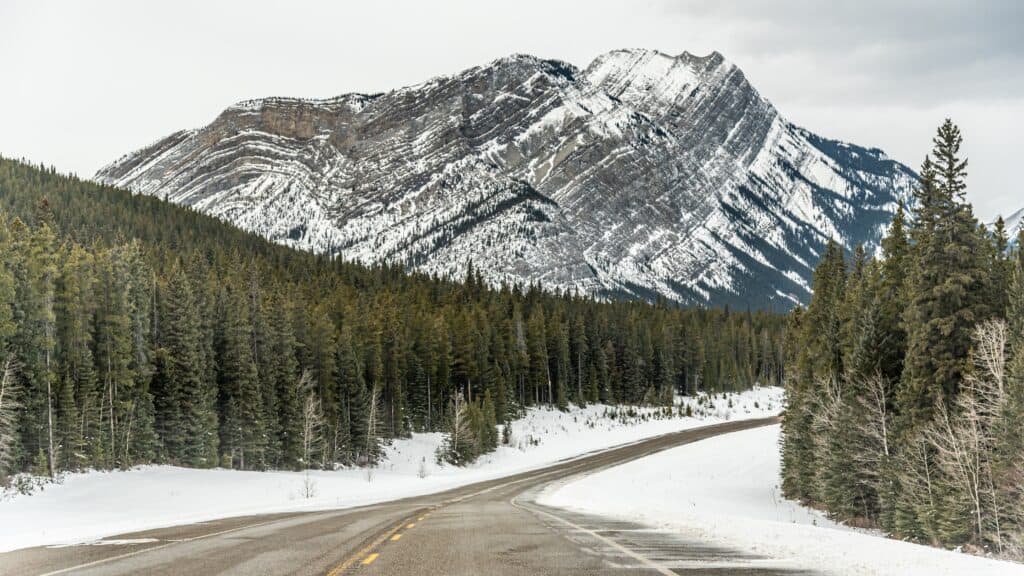 Scenic road at Jasper National Park, Canada (Image: Shutterstock)