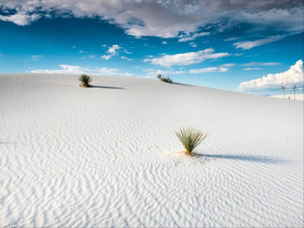 Dune in White Sands National Park